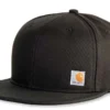 Pet Carhartt Men Ashland Cap Black