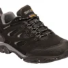 Wandelschoenen Men Regatta Holcombe IEP Low Black Granite