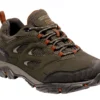 Wandelschoenen Men Regatta Holcombe IEP Low Bayleaf Burnt Umber